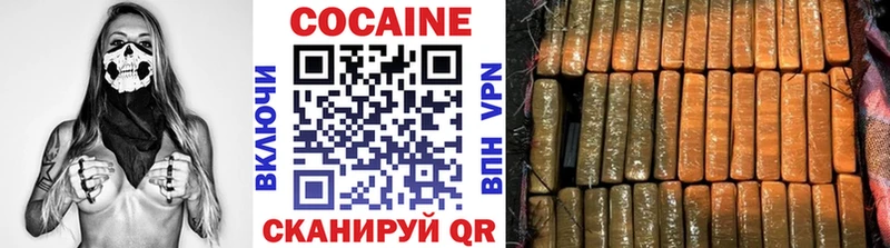Купить  Шенкурск  COCAIN Fish Scale 