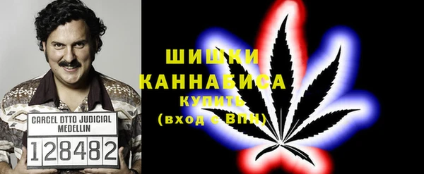 PSILOCYBIN Алексеевка