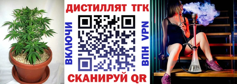 Купить закладки Шенкурск ТГК гашишное масло