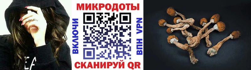 Галлюциногенные грибы Psilocybe Купить Шенкурск